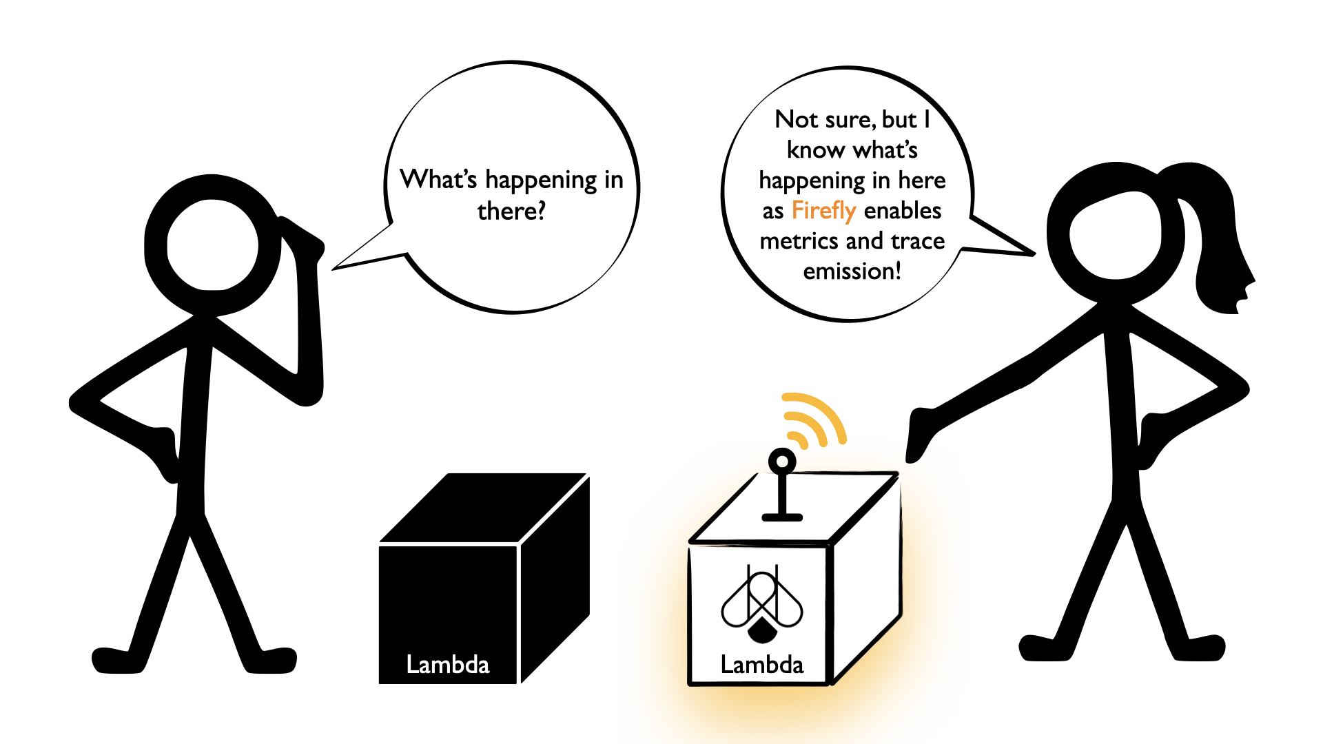 Figure 1.0 Firefly introduction